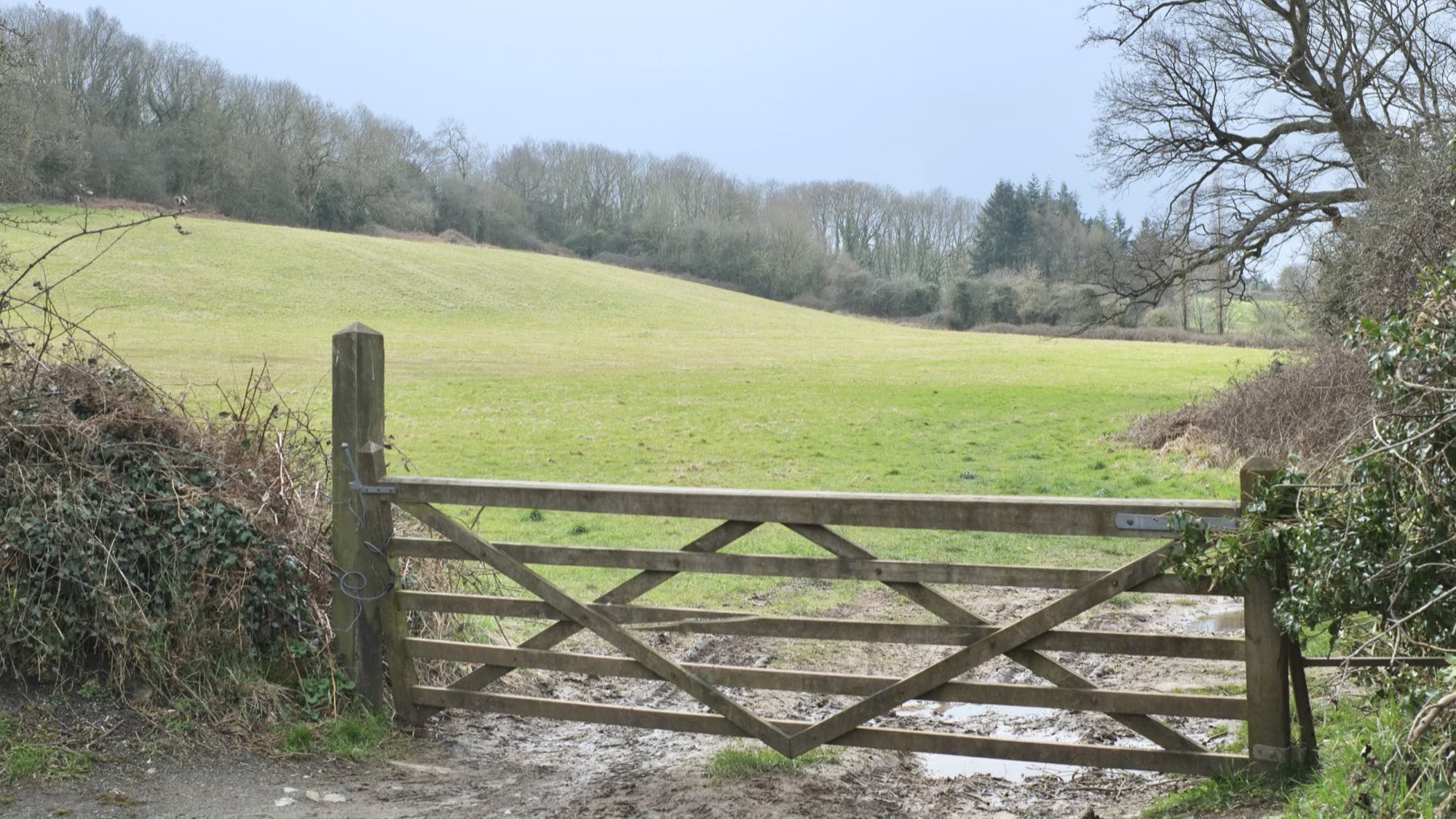 A weathered five-bar timber gate set into a hedgerow, opening onto a sloping green field with woodland along the far boundary.